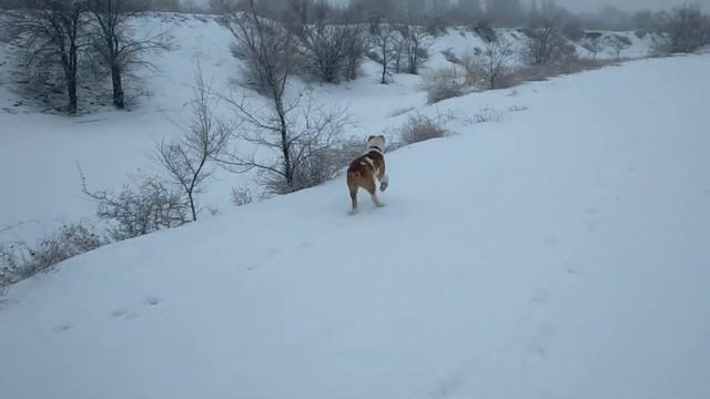 Прогулка на свежем воздухе вдоль реки. 10.01.2023 год смотреть онлайн