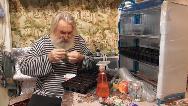 КАПУСТА ПОЗДНЯЯ Посев семян на рассаду смотреть онлайн