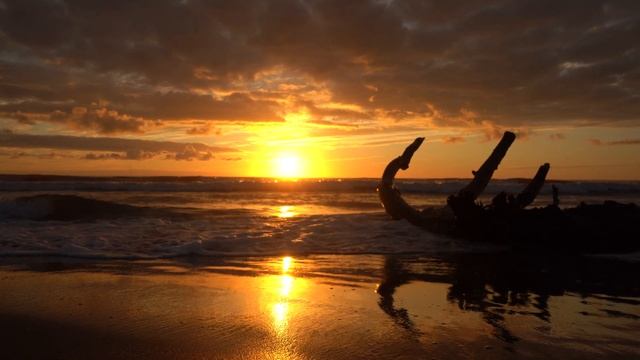 OCEAN SCENE MARINA DI PIETRASANTA смотреть онлайн