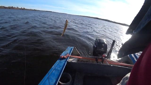 РЫБАЛКА В МОРЕ НА ЗАКИДУШКИ/ДЕРЁМ ЯКОРЕМ ЗМЕЙКУ.ч1-ая смотреть онлайн