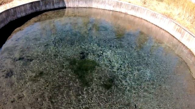 Родник Кайнар. Буртинская степь. смотреть онлайн