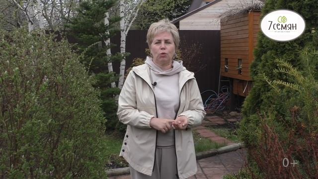 КАК ЗАЩИТИТЬ РАСТЕНИЯ ОТ ВОЗВРАТНЫХ ЗАМОРОЗКОВ! смотреть онлайн