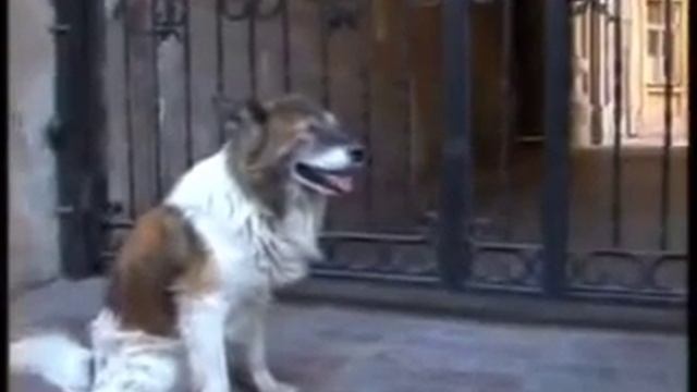 Хочу знать дом стена в Одессе смотреть онлайн