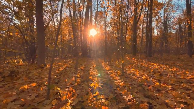 Ушел от нас последний день смотреть онлайн