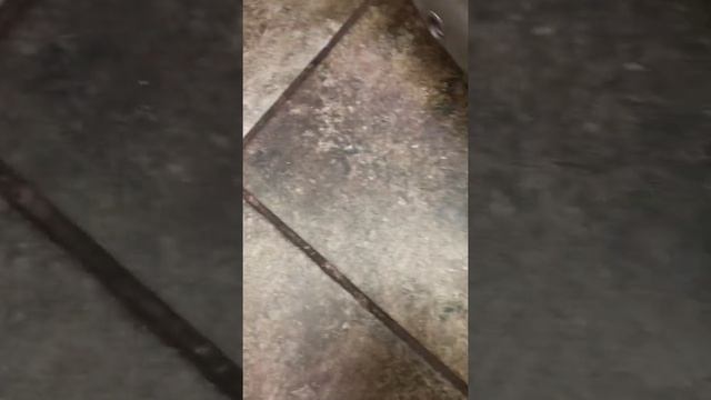 6 октября 2020 г. смотреть онлайн