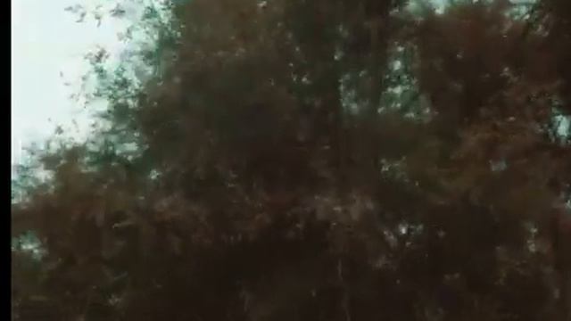 Ясеневая роща, Чарын, 1991 год смотреть онлайн