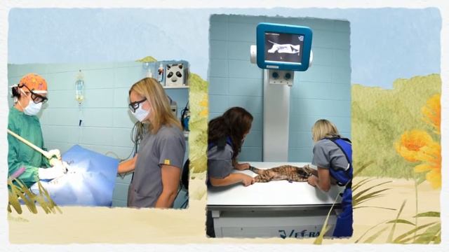 Welcome to Happy Tails Animal Hospital! смотреть онлайн