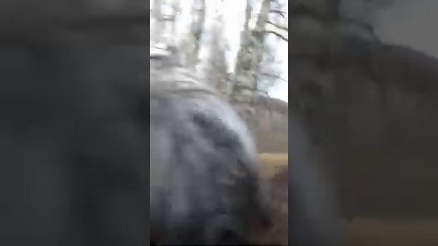 Белокуриха осень 2014 смотреть онлайн