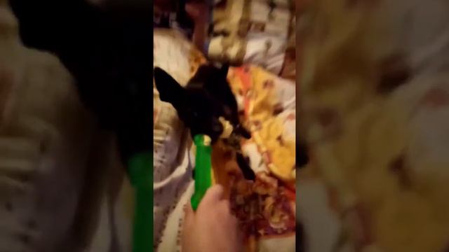 зачем так делать!? Хотите больше видео? смотреть онлайн
