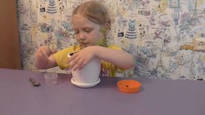 Вишня из косточки. Как вырастить вишню из косточки