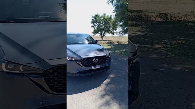 7 августа 2023 г. смотреть онлайн