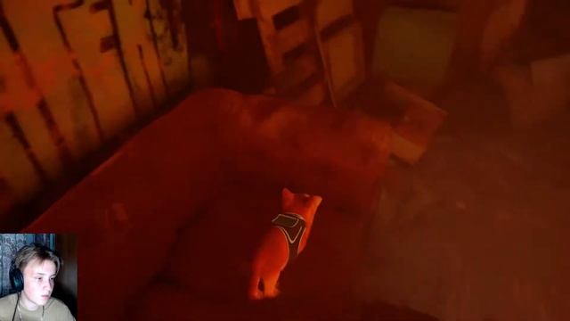 МИЛЫЕ КОТИКИ + КИБЕРПАНК = STRAY | ПРОХОЖДЕНИЕ #1 смотреть онлайн