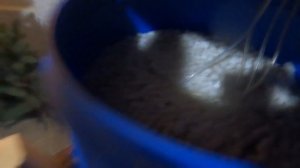 Биофильтр для мини УЗВ