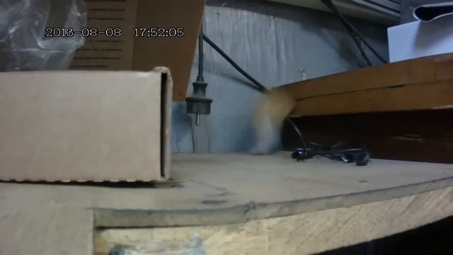 Вот как чего то нужно хотеть! Мышонок и печенька смотреть онлайн