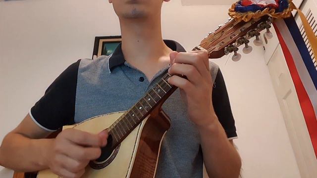 Instrumental de bésame mucho con mandolina (cover) :) смотреть онлайн