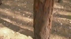 Как просто сделать баню на природе. Outdoor sauna.