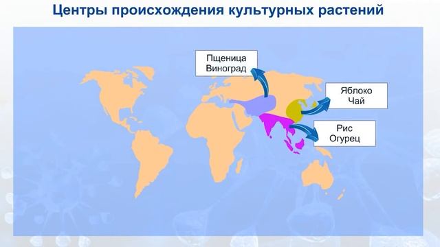 8 класс, Наследственность и изменчивость смотреть онлайн