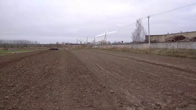 Уборка урожая 5 ноября 2022 смотреть онлайн