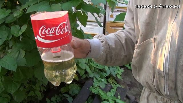 Как сделать ловушку для ос и шершней за 1 минуту. смотреть онлайн