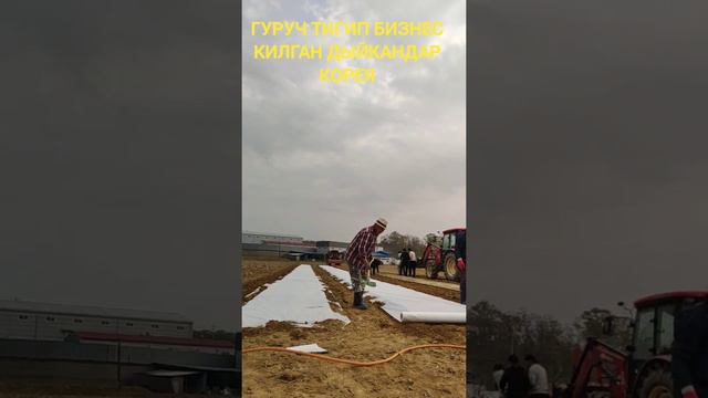 дыйкандардын иши оной эмес смотреть онлайн