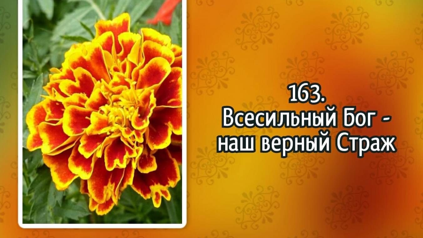Гимны надежды 163 Всесильный Бог - наш верный Страж (-) смотреть онлайн