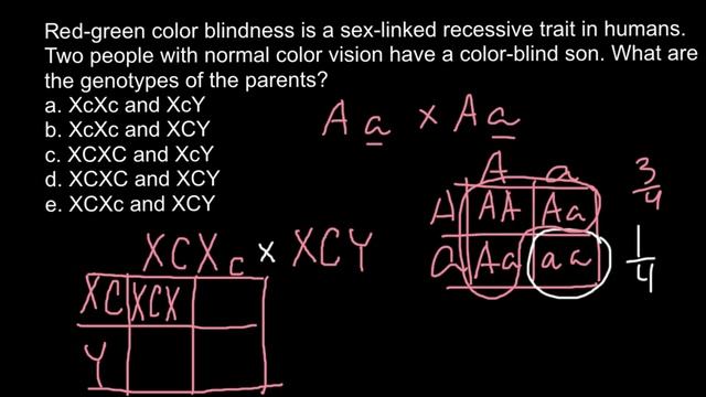Genetics Of Color Blindness