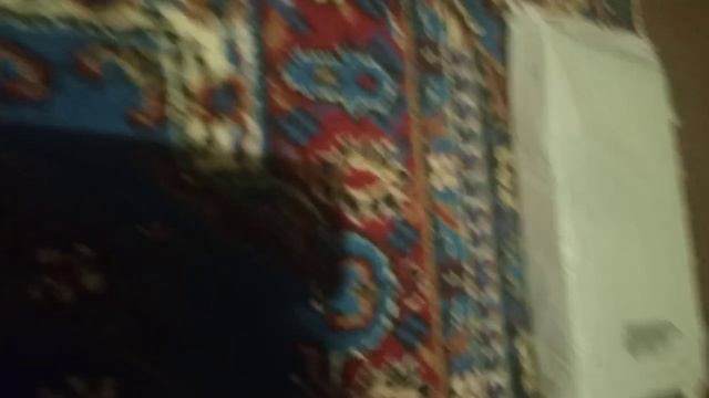 video5355054538497736717