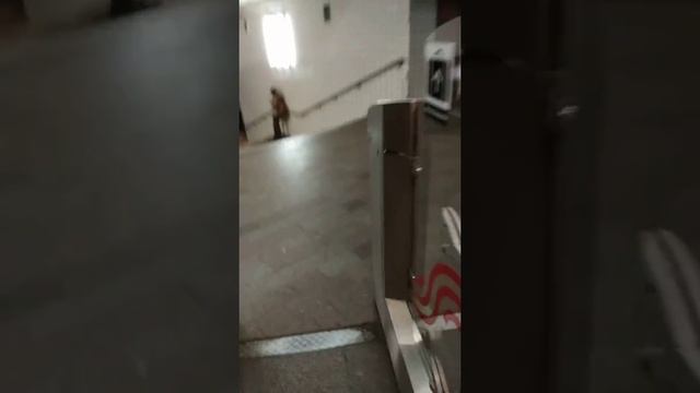 Турникеты метро Москвы сигнализируют о проходе по чужой льготной карте. смотреть онлайн
