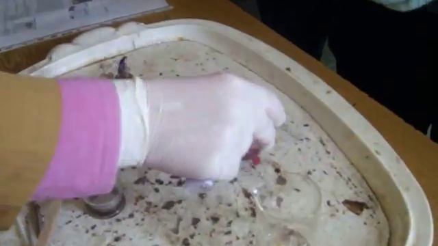 Mg lenta смотреть онлайн