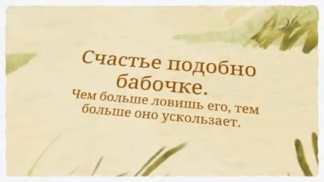 Живые бабочки в подарок. Красивая оригинальная идея "Что подарить" смотреть онлайн