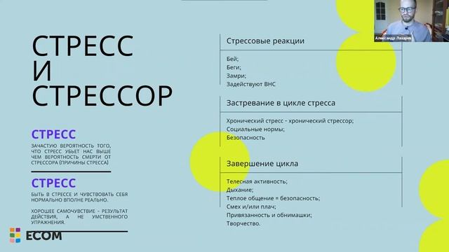 Марафон против выгорания. День четвертый смотреть онлайн