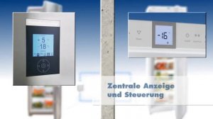 Холодильники Liebherr  HomeDialog