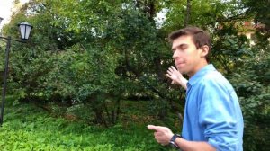 ДИВНОГОРСК ОБЗОР ГОРОДА (Самая красивая набережная в России)