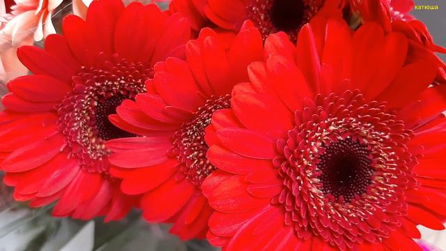 Будьте добры к утру и,,, смотреть онлайн