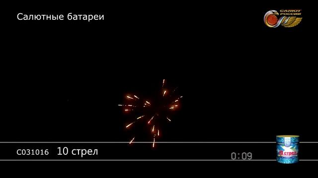 10 стрел С031016 NEW