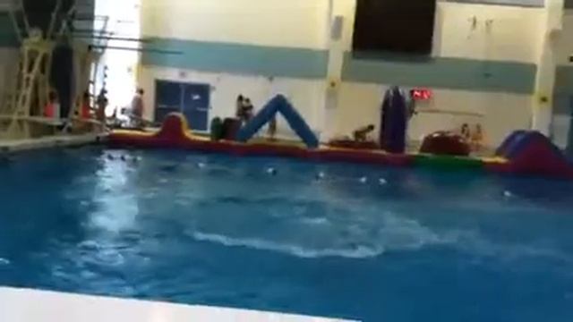 Cannonball Z смотреть онлайн
