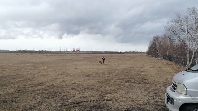 6.  выражено/перв OSTEN STERN DZHORDZHIYA (Tornados-Ostvind Yard Yantaris – Osten Stern Olesya)