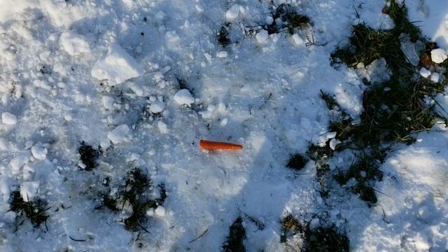 Snowman VS Guns .22lr .45acp & 12 gauge смотреть онлайн