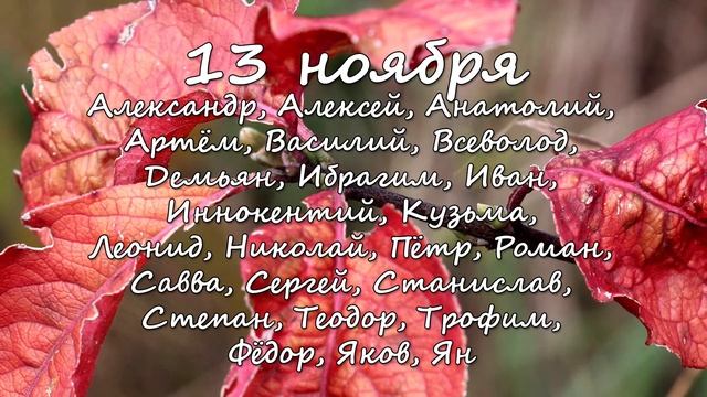13 ноября – именины сегодня отмечают смотреть онлайн