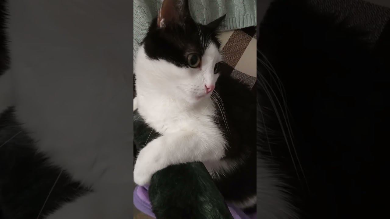 эти глаза напротив...