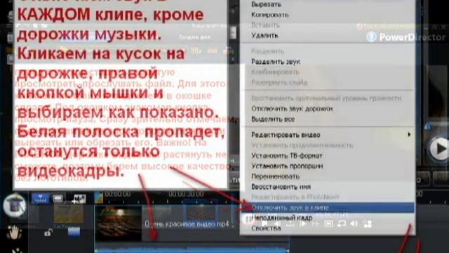 Cyber Link Power Director 8. Работа с видео и фото.
