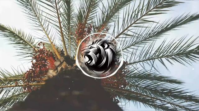 S A X S E D U C E - Raiguetss Saah 2K18 смотреть онлайн