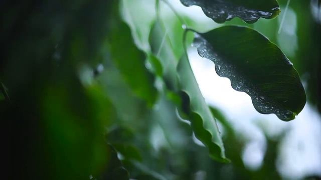 Музыка для души! Шикарная расслабляющая инструментальная музыка!