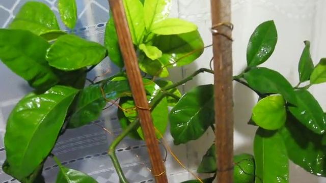 Строительные Решения