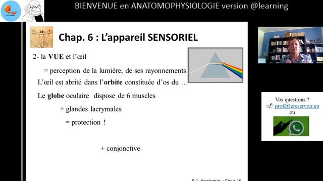 ANAT AS 5 - Chap. VI : L'appareil SENSORIEL смотреть онлайн