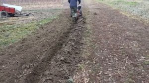 Вспашка дерна мотоблоком МТЗ