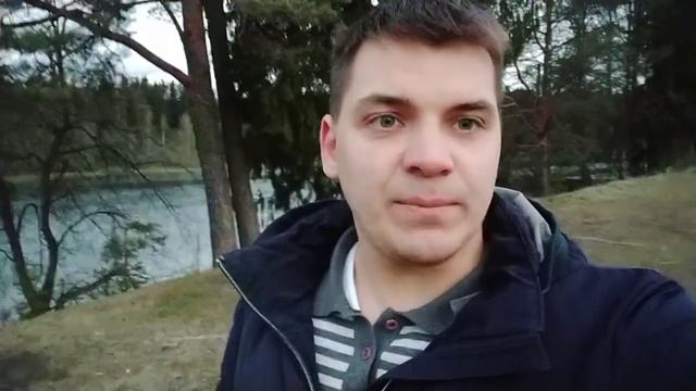 Вырубка / Спил кустарников на больших площадях СПб, Гатчина и Ленобласть | тел. 89111418147 | смотреть онлайн