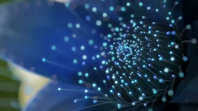 SamsungLED 30SE Samsung muxed смотреть онлайн