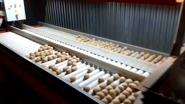 Сухая чистка и переборка овощей / Европейское качество - цены в 2 раза ниже! смотреть онлайн