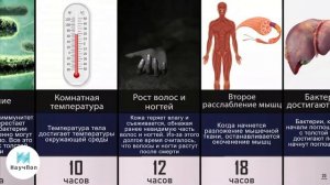 ТЕЛО человека после СМЕРТИ